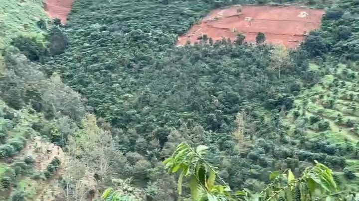 Đất Farm Xã Hòa Trung, Huyện Di Linh, 28800m² giá 500 triệu - Cơ hội đầu tư tuyệt vời!