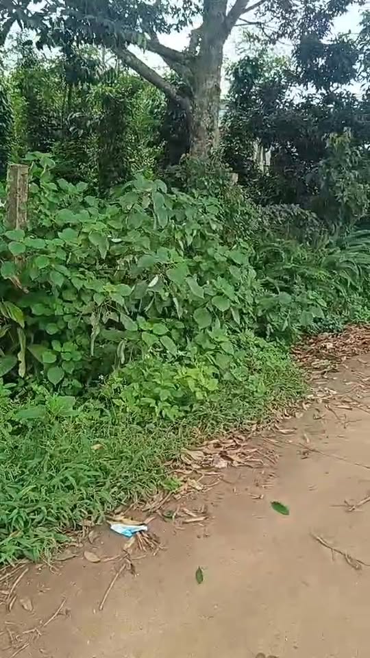 FrontHouse mặt tiền Trần Nhật Duật - Diện tích 468m² giá 3 tỷ - Đầu tư sinh lời ngay!