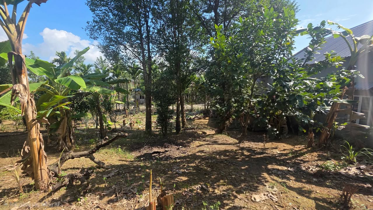 Đất mặt tiền Đường Lên Lăng Vua Gia Long, TP Huế 250m² - Vị trí đắc địa cho an cư