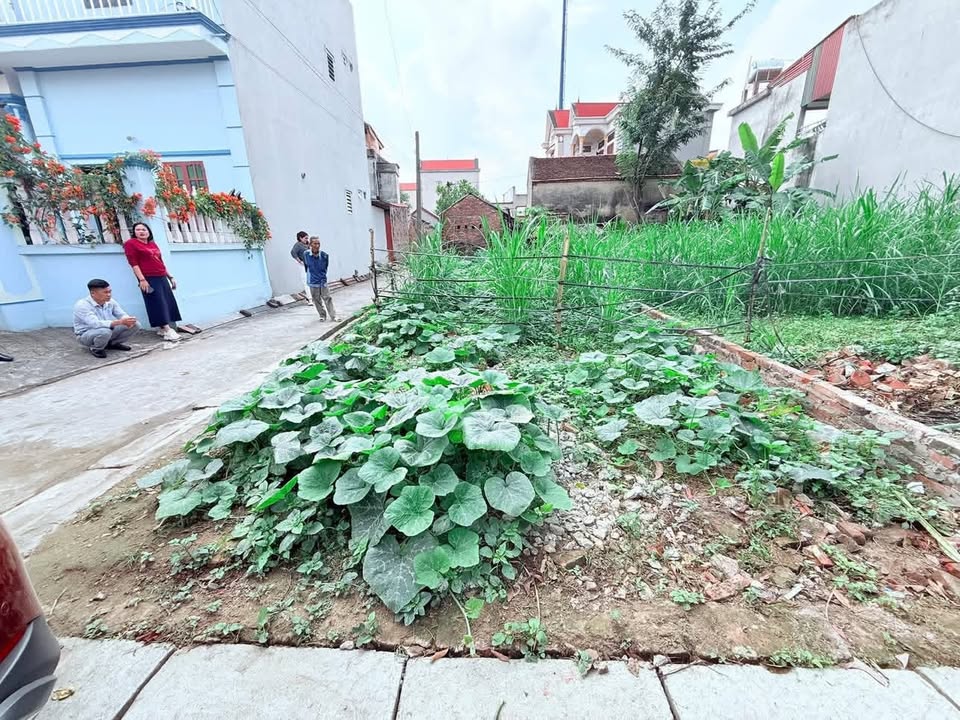 Đất nền lô góc Đào Viên, Quế Võ 87m² giá 1 tỷ - Cơ hội đầu tư sinh lời!