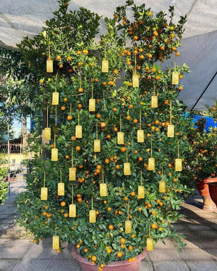 Nhà 3 tầng Huyền Quang Bắc Ninh 90m² - Vị trí đắc địa, sẵn hợp đồng thuê