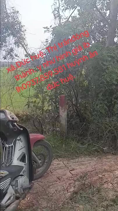 Đất nền 2300m² Mỹ Thạnh Đông - Ngay mặt tiền đường Hon Đa, giá thỏa thuận!