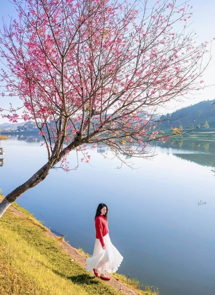 Dãy nhà trọ 17 phòng Đà Lạt 125m² giá 6.8 tỷ - Kinh doanh ổn định!