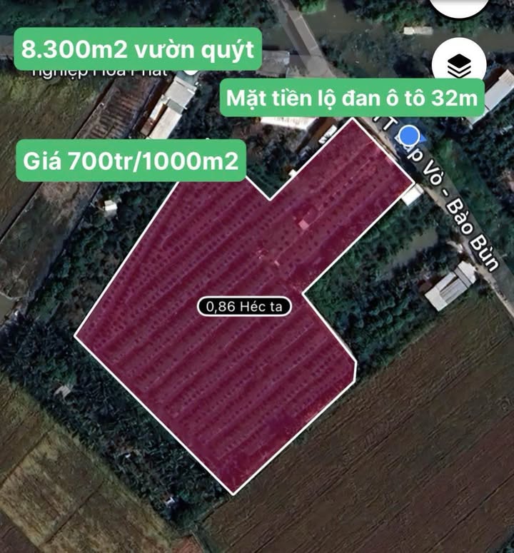Đất vườn quýt 8300m² Định An - Giá 5.81 tỷ - Sẵn sàng đầu tư!