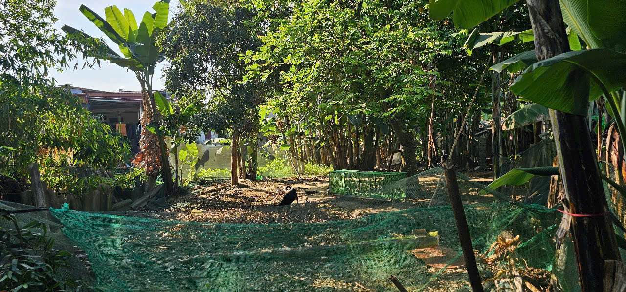 Đất nền xã Quảng Bình 260m² giá 700 triệu - Đầu tư sinh lời tuyệt vời!