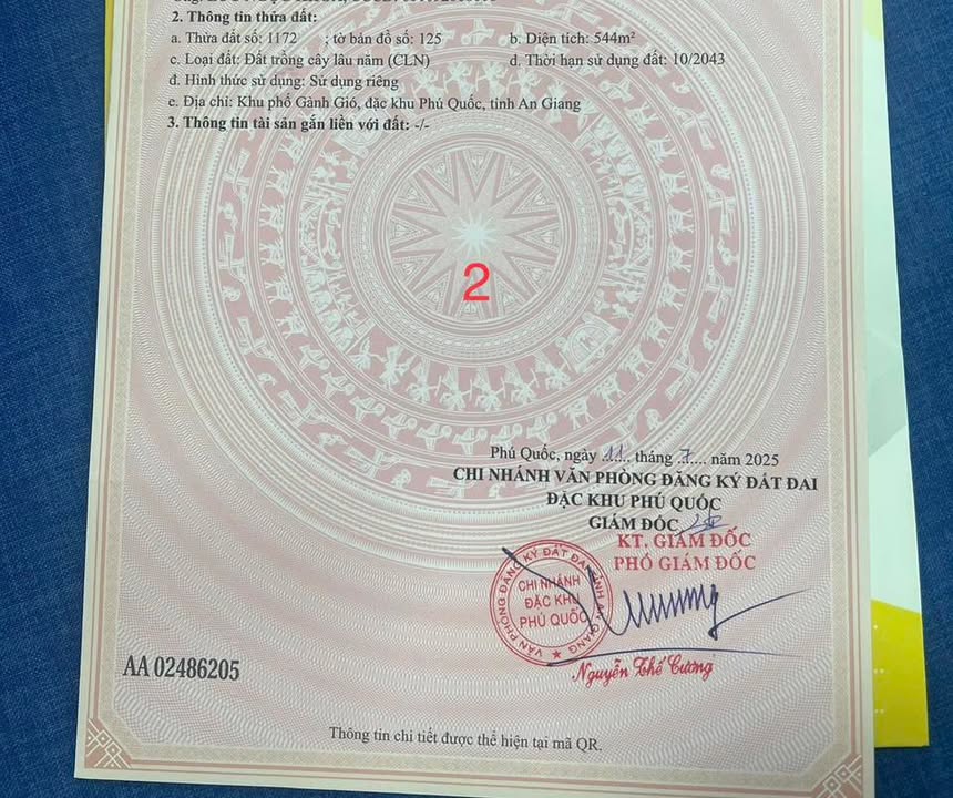 Đất nền mặt tiền Cây Thông Ngoài, Phú Quốc 512m² - Giá F0 cực hấp dẫn!