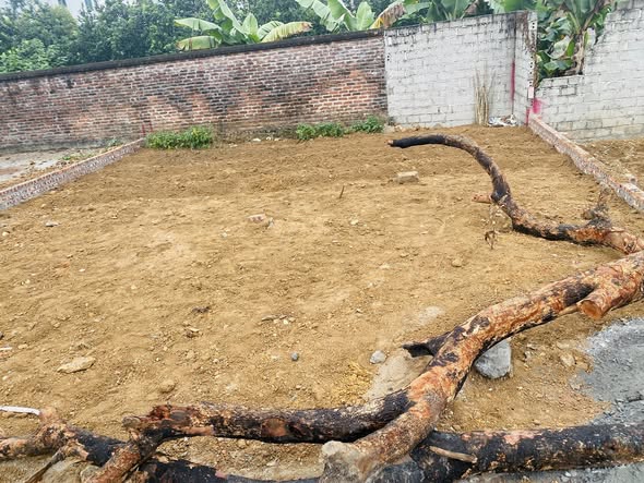 Đất nền Phú Cát, Phú Xuyên 100m² giá 1.5 tỷ - Cơ hội đầu tư hấp dẫn!