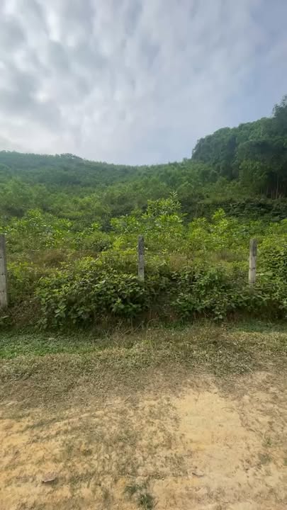 Đất thổ cư Xã Sơn Lĩnh 1530m² giá thỏa thuận - Cơ hội đầu tư tuyệt vời!