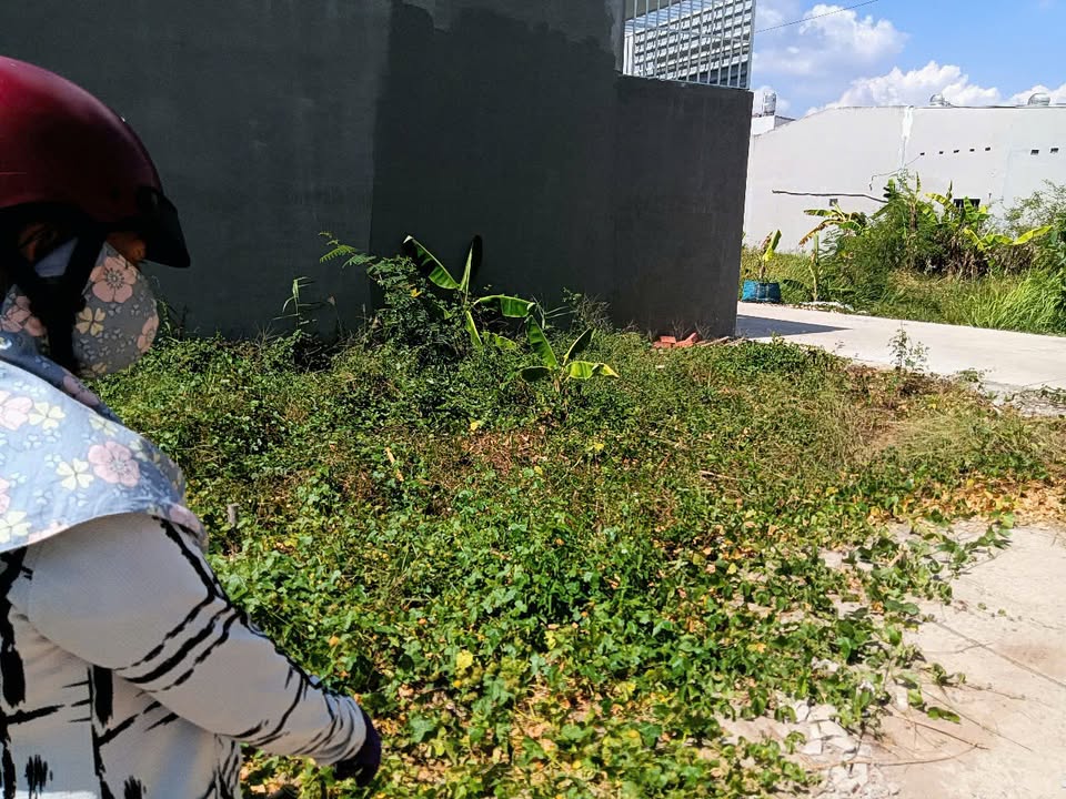 Đất nền Đạo Thạnh - Huyện Cái Bè, 150m², vị trí đắc địa - Cơ hội đầu tư hiếm có!