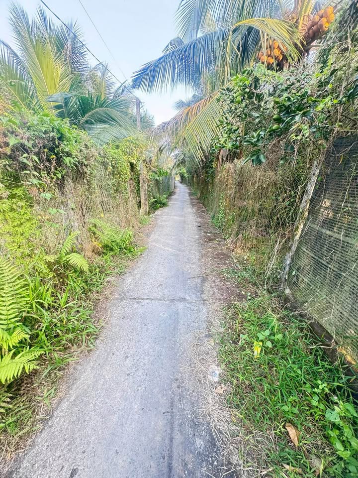 Đất vườn Song Bình, Tiền Giang 324m² giá 449 triệu - Cơ hội đầu tư hấp dẫn!