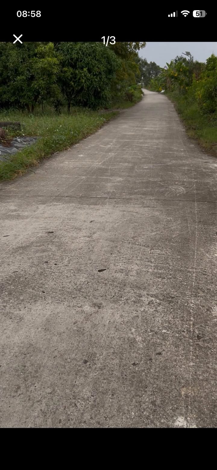 Đất Lúa 4.736m² tại Lý Văn Lâm, Cà Mau giá 2,5 tỷ - Cơ hội đầu tư hấp dẫn!