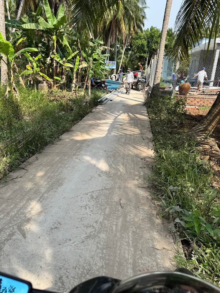 Đất thổ cư Xã Xuân Đông 104m² - Gần trường học và tiện ích sống