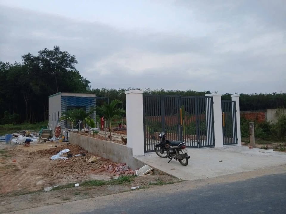 Nhà mặt tiền đường nhựa Chánh Phú Hòa Tân Uyên 239m² giá 1.45 tỷ - Vị trí kinh doanh lý tưởng!