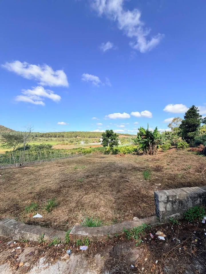 Đất nền chính chủ tại 05 Nguyễn Thiếp, Pleiku 418m² - Giá 2 tỷ hấp dẫn!