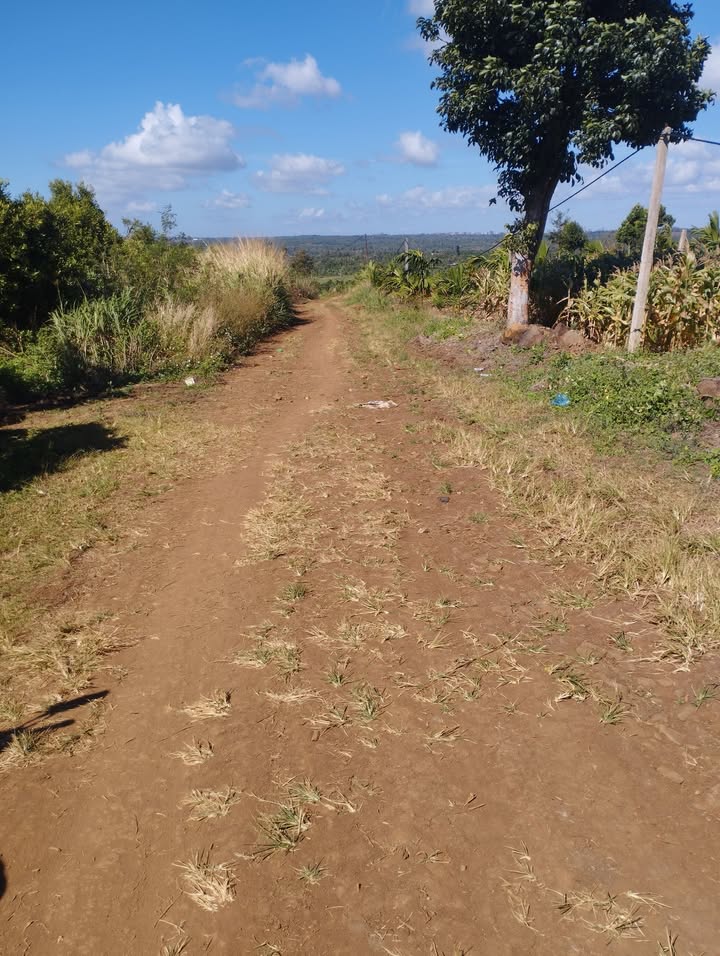 Đất nông nghiệp 1,3ha tại Xã Ea Dăh, Huyện Krông Năng - Cà phê, nhãn vải, sầu riêng kinh doanh