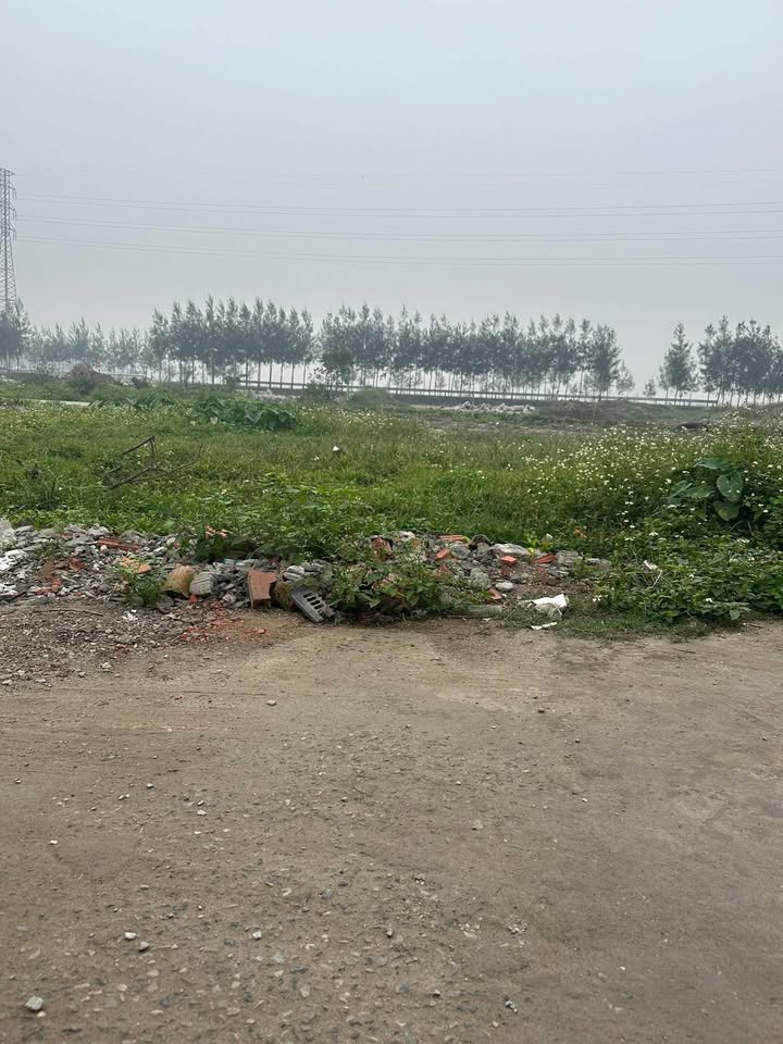 Đất nền đẹp Thị trấn Diêm Điền 128m² giá 3.072 tỷ - Gần Quốc lộ!