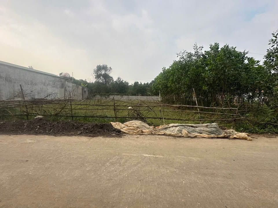 Đất thổ cư 192m² tại Gia Lâm, Ninh Bình - Tiềm năng đầu tư lớn!