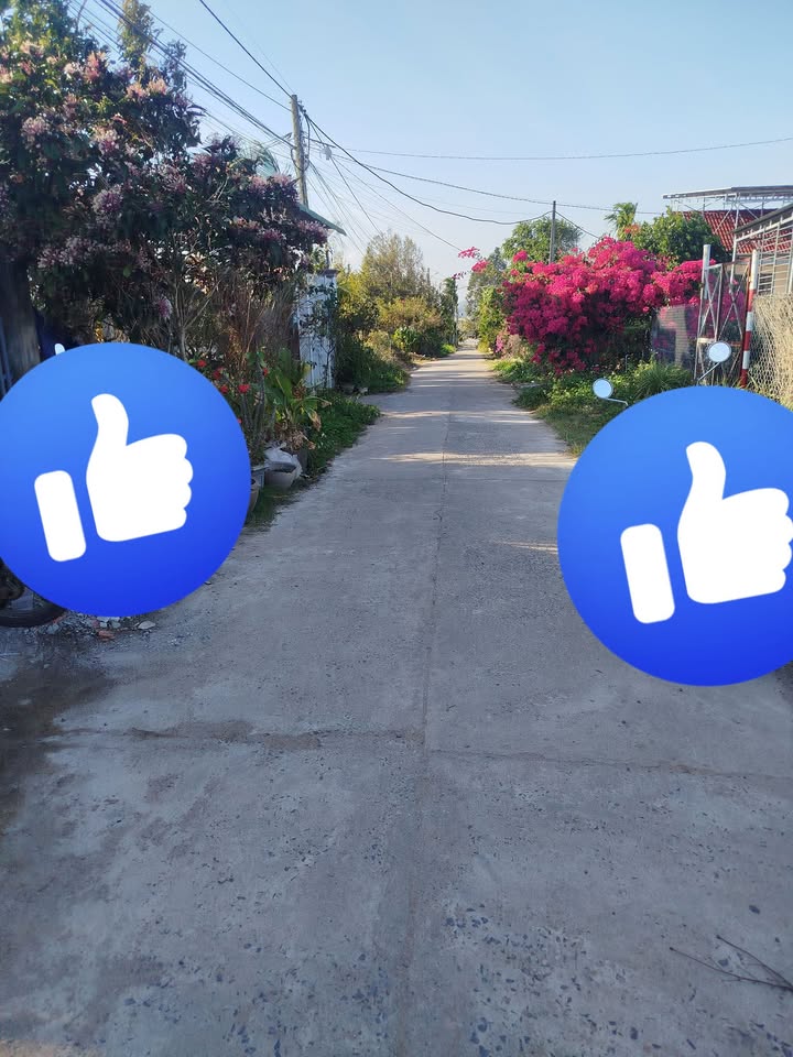 Đất nền Thôn 4, Liên Sơn Lắk 550m² chỉ 1.38 tỷ - Cơ hội đầu tư sinh lời!