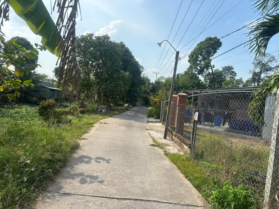 Nhà cấp 4 Tân Thành, Lai Vung 252m² giá 900 triệu - Cơ hội đầu tư hấp dẫn!