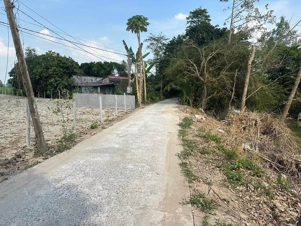 Đất nền Định Yên, Lấp Vò, 3300m² - Giá thỏa thuận chính chủ!