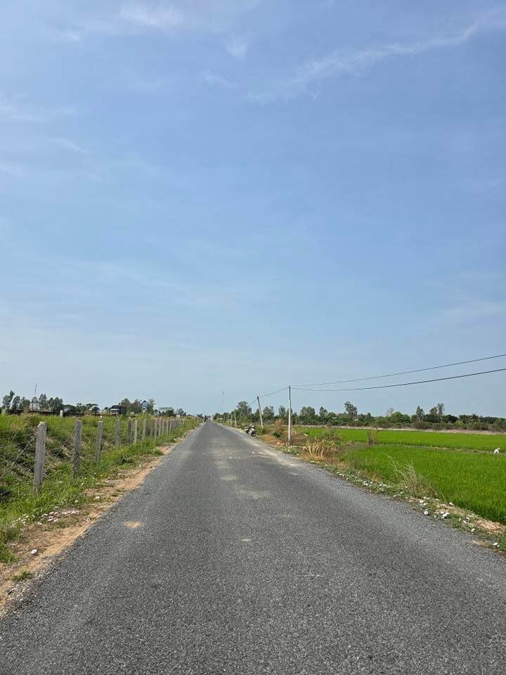 Đất nền 5.000m² xã Mỹ An Hưng, huyện Lấp Vò chỉ 2.75 tỷ - Cơ hội đầu tư tuyệt vời!