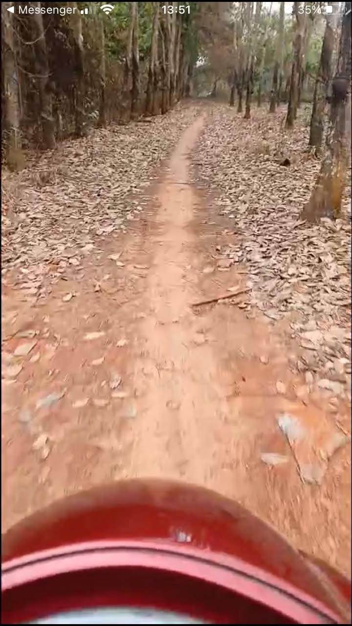 Đất chăn nuôi 2ha tại Tân Hòa, Đồng Phú - Giá chỉ 3.8 tỷ!