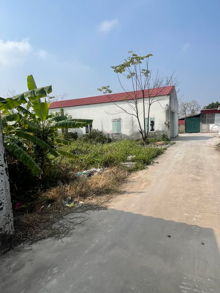 Đất thổ cư 153m² tại Thôn Đông Cảnh, Yên Dũng - Giá thỏa thuận, cơ hội đầu tư hấp dẫn!