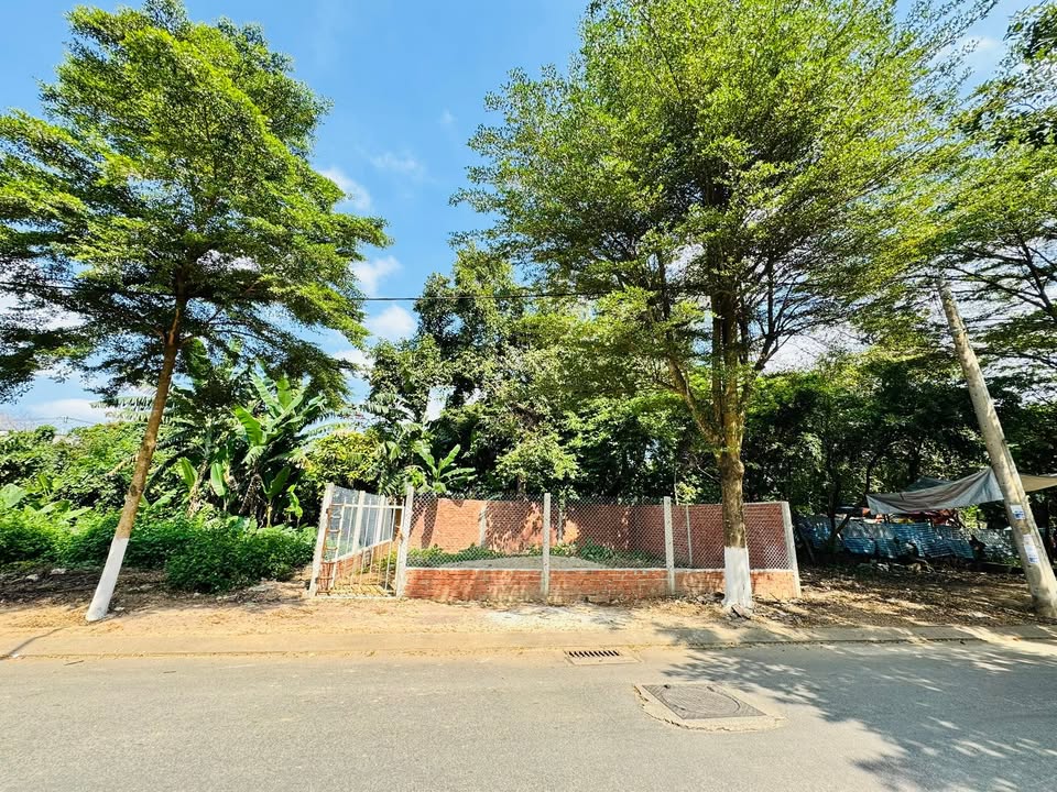 Đất mặt tiền Cẩm Thành, Quảng Ngãi 86m² giá 2.6 tỷ - Kinh doanh sầm uất!