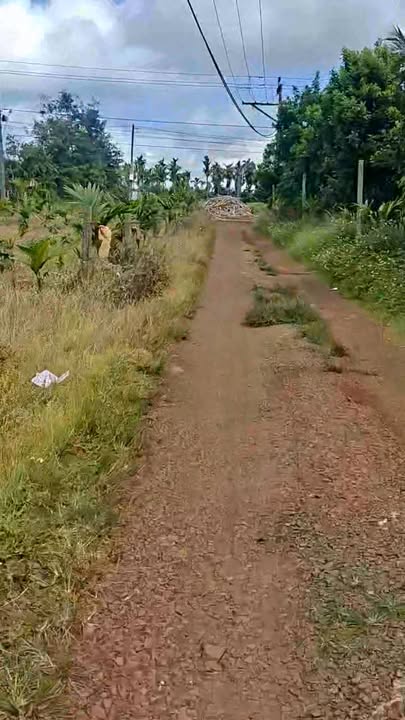 Đất nền chính chủ tại đường Hoàng Quốc Việt, Buôn Hồ - 140m² giá chỉ 800 triệu!