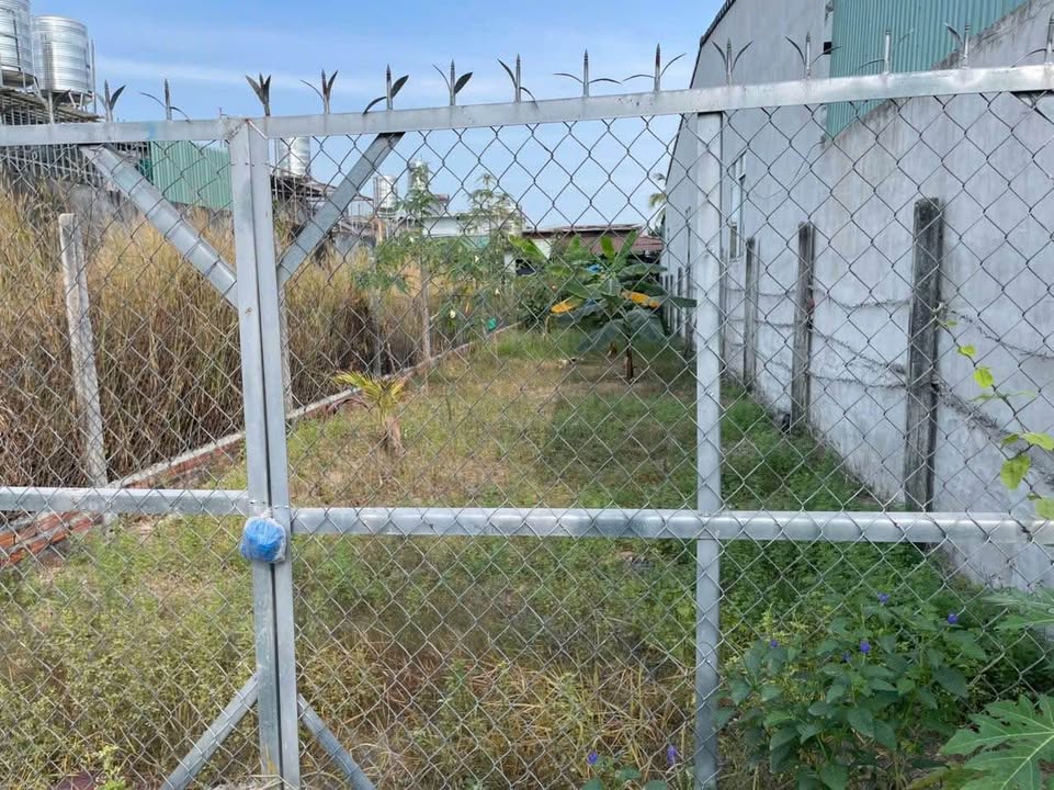 Đất thổ cư 158m² Phường Ninh Thạnh, Tây Ninh - Gần chợ Bầu Năng, Giá 775 triệu