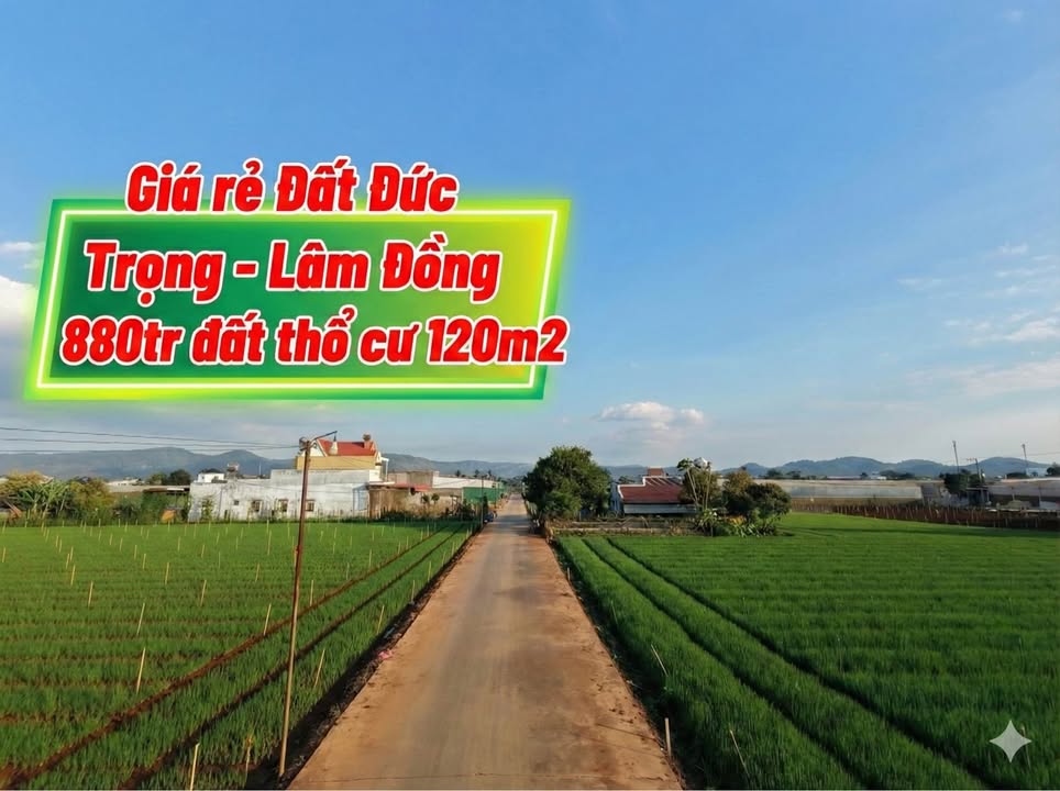 Đất thổ cư Đức Trọng 120m² giá 800 triệu - Sổ đỏ sang tên ngay!