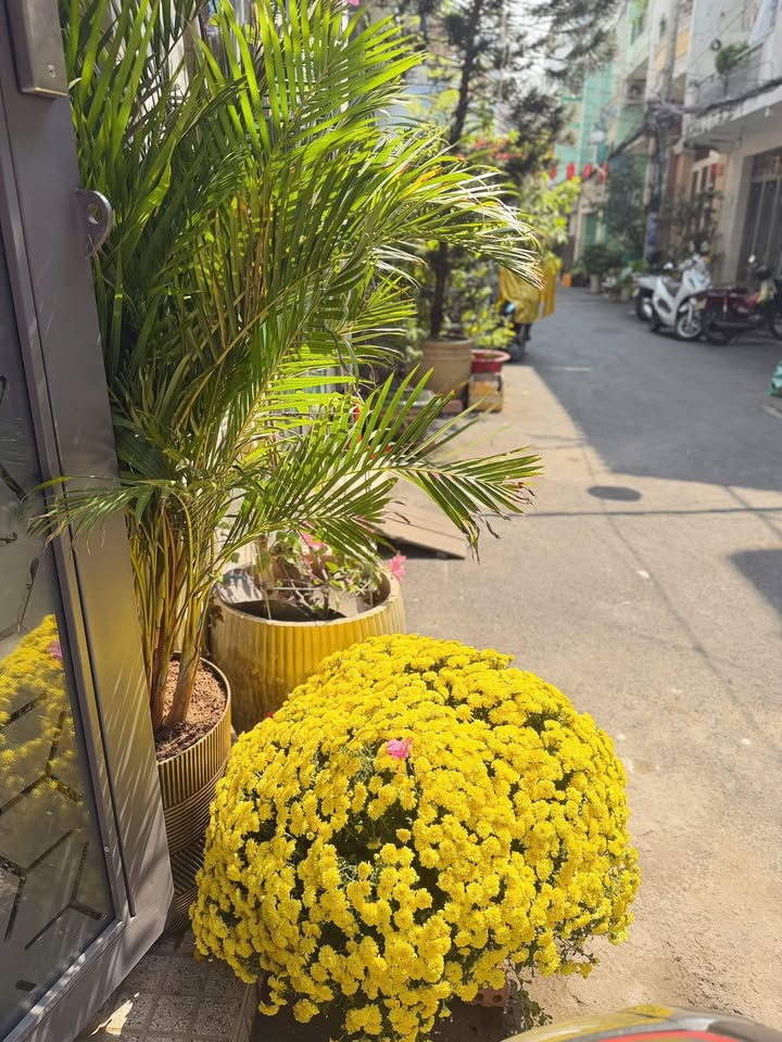 Nhà hẻm ô tô Trường Sa Q3 50m² - 3 tầng BTCT