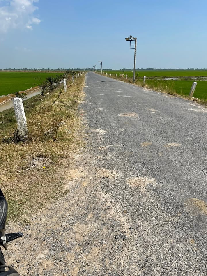 Đất nông nghiệp 12.000m² tại Xã Bình Phú, Huyện Tân Hồng giá 4.32 tỷ - Đầu tư sinh lời ngay!