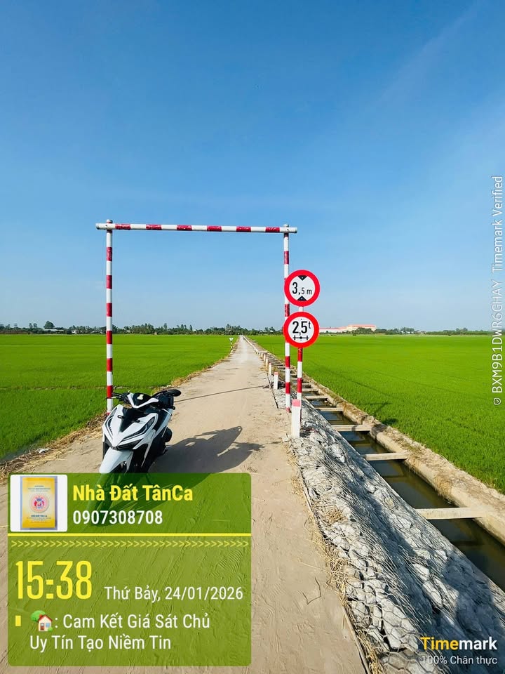 Đất nền mặt tiền xã Tân Mỹ, 3000m² giá chỉ 900 triệu - Đầu tư sinh lời ngay!