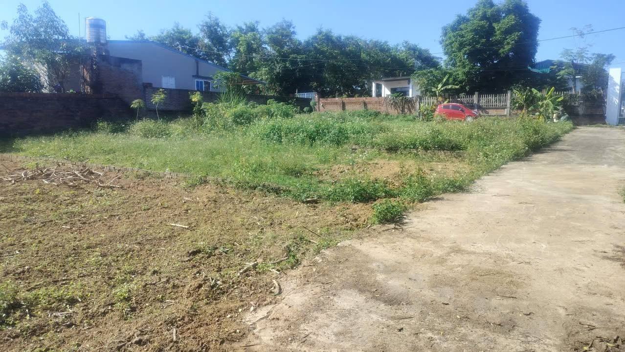 Đất nền Thôn Dộc Lịch, Huyện Tam Dương 145m² chỉ 500 triệu - Cơ hội đầu tư tốt!