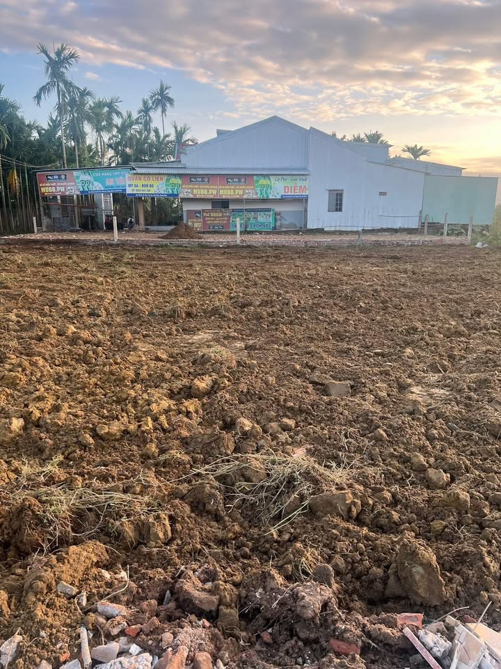 Mảnh vườn mini Nghĩa Trung, Tư Nghĩa 360m² giá thỏa thuận - Tiềm năng đầu tư lớn!