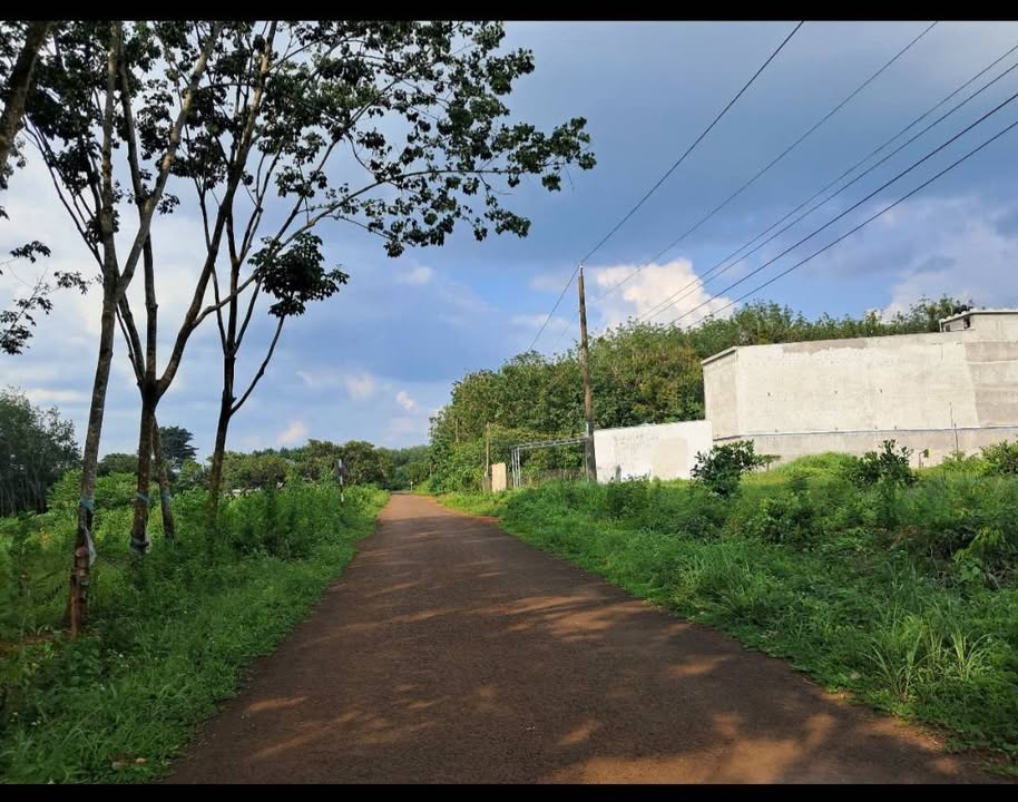 Đất nền mặt tiền nhựa Đức Liễu 5000m² giá chỉ 300 triệu - Đầu tư sinh lời ngay!