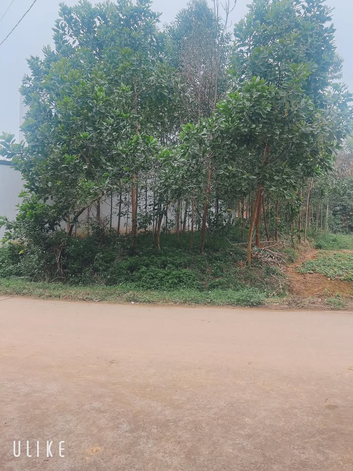 Đất thổ cư 415m² tại Khu 3, Phường Vân Phú, giá 1.5 tỷ - Cơ hội đầu tư hấp dẫn!