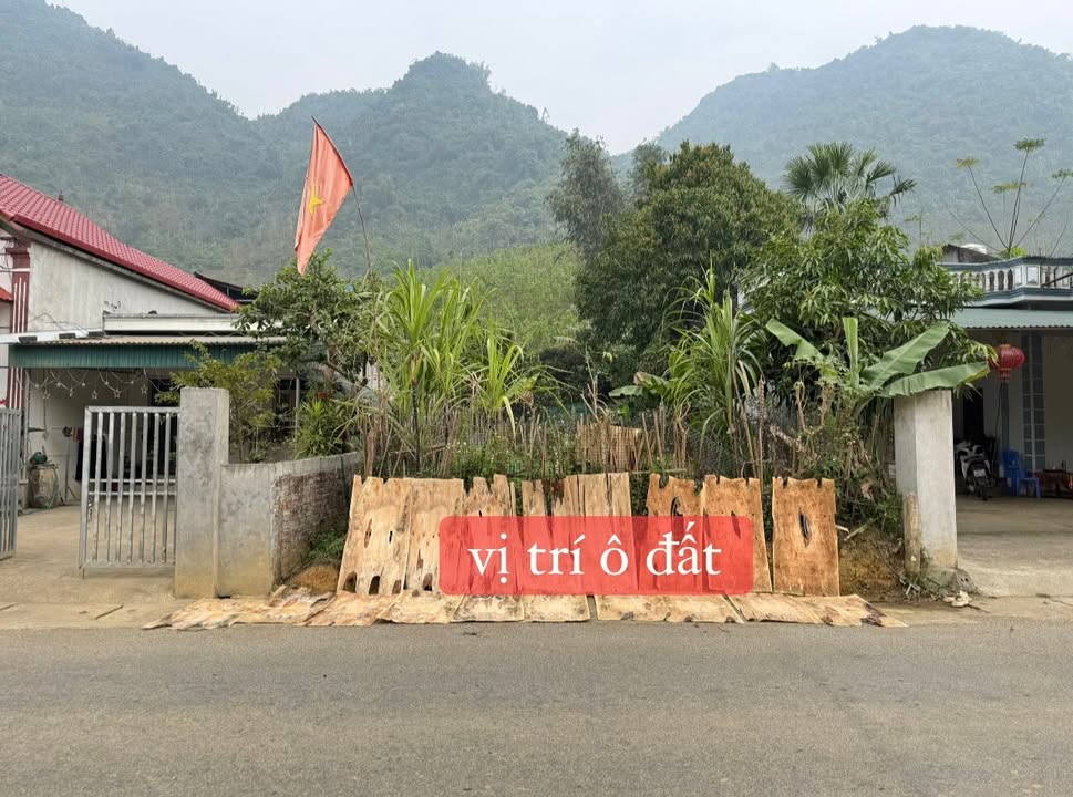 Đất nền tại xã Văn Miếu, huyện Thanh Sơn, 262m² giá 800 triệu - Cơ hội đầu tư lý tưởng!