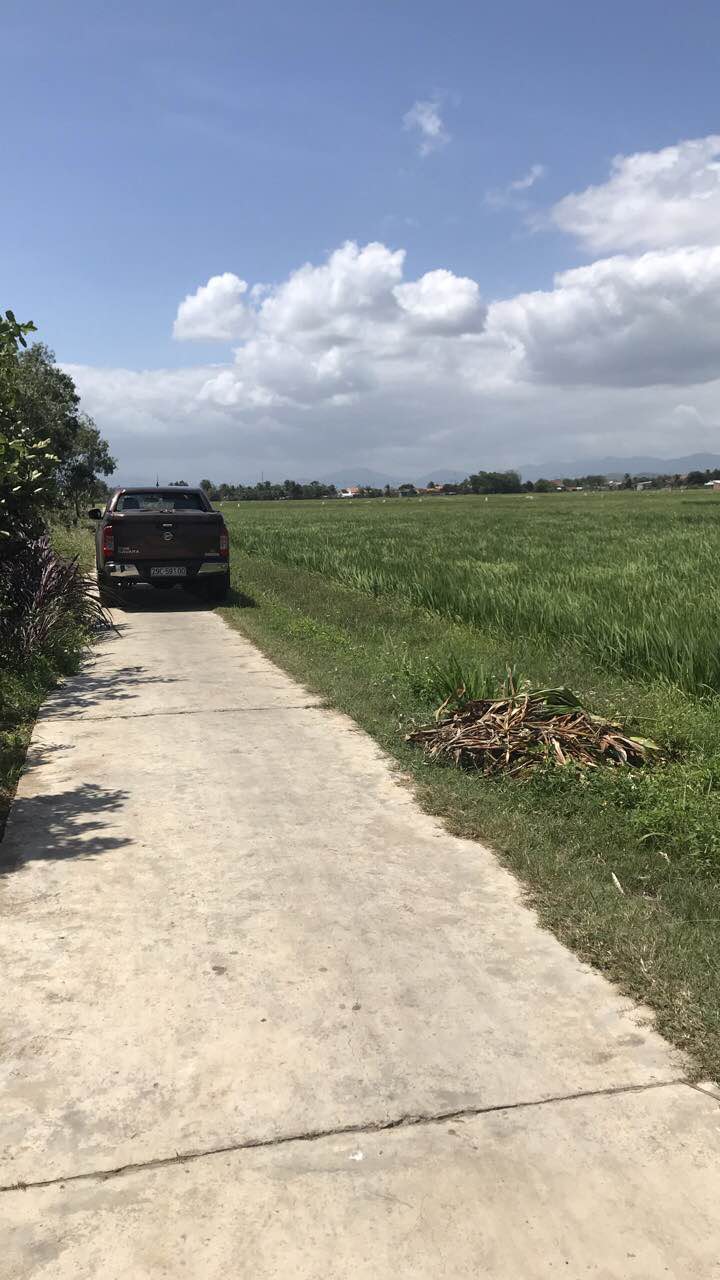 Đất nông nghiệp 50400m² tại Ninh Thọ, Ninh Hòa - Quy hoạch thổ cư, giá chỉ 3.5 tỷ!