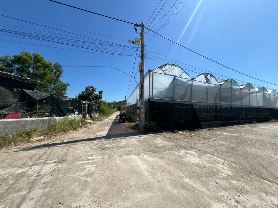 Đất nền Phước Đồng Nha Trang 360m² giá 1.3 tỷ - Cơ hội đầu tư hấp dẫn!