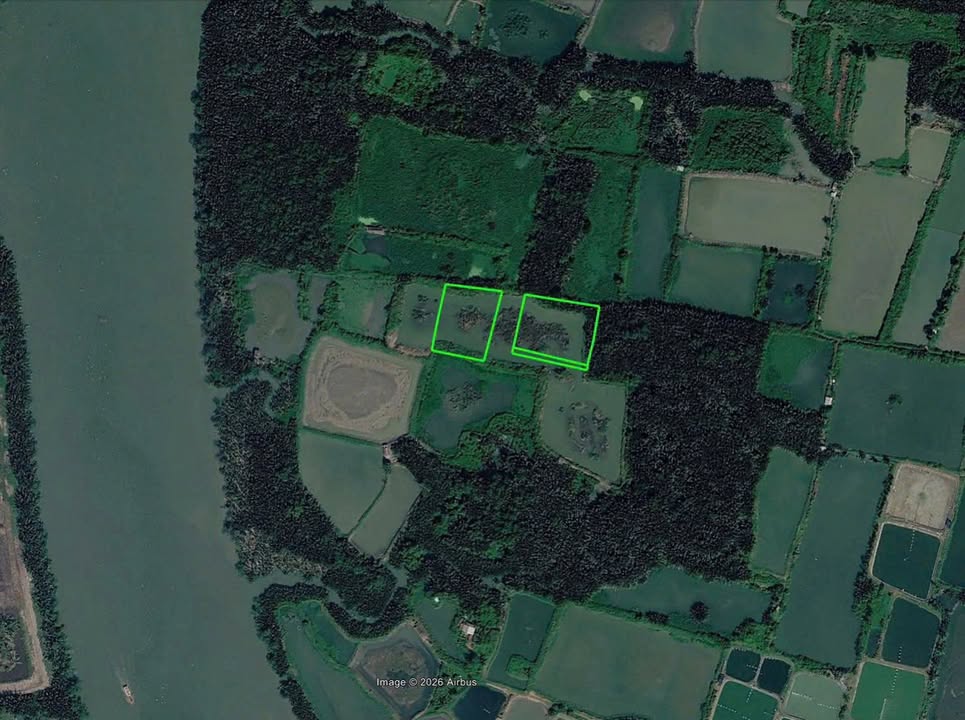 Đất Ruộng 6630m² Nhơn Đức, Nhà Bè - Giá 5.662 tỷ, Đầu Tư Lợi Nhuận Cao!