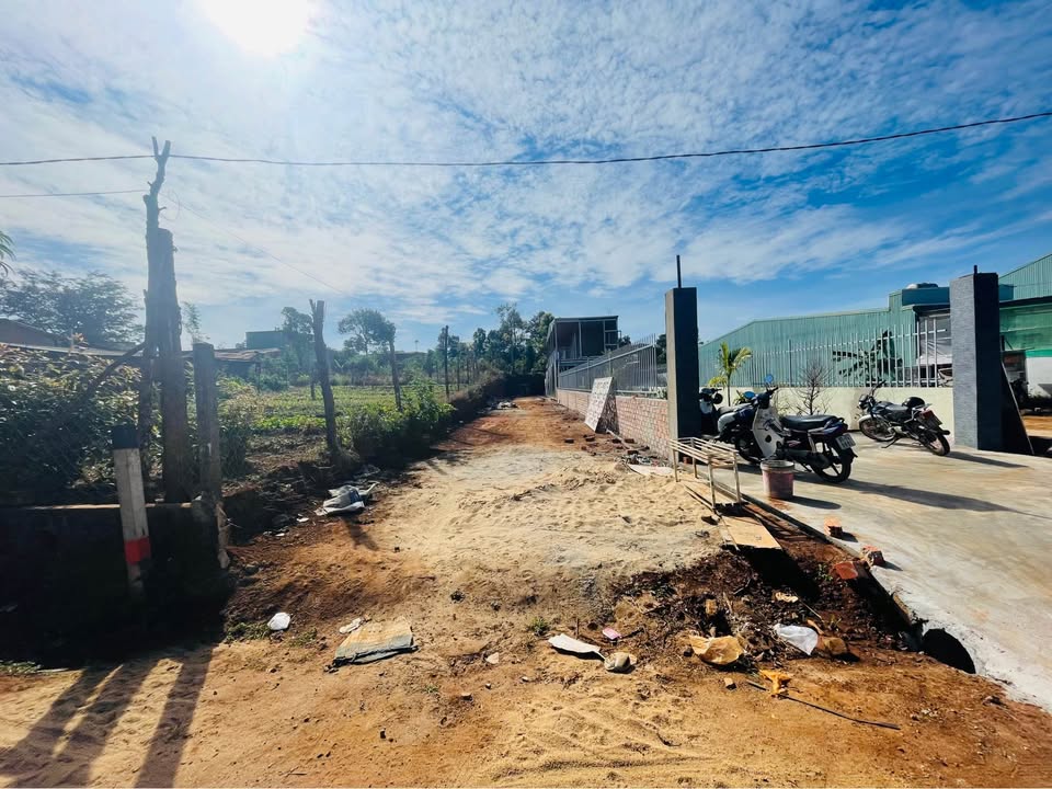 Đất nền thổ cư Đồi Thông, An Nhơn 270m² giá chỉ 990 triệu - Cơ hội đầu tư tuyệt vời!