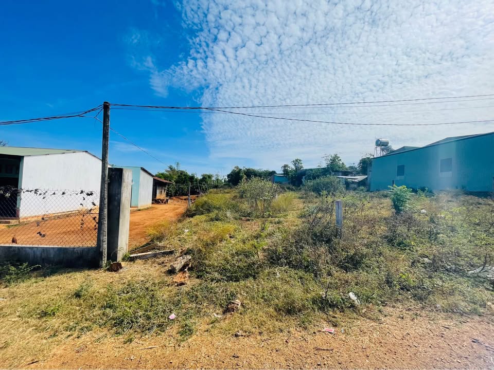 Đất nền Đồi Thông, Pleiku 100m² giá 790 triệu - Hướng Tây Nam, cơ hội đầu tư hấp dẫn!