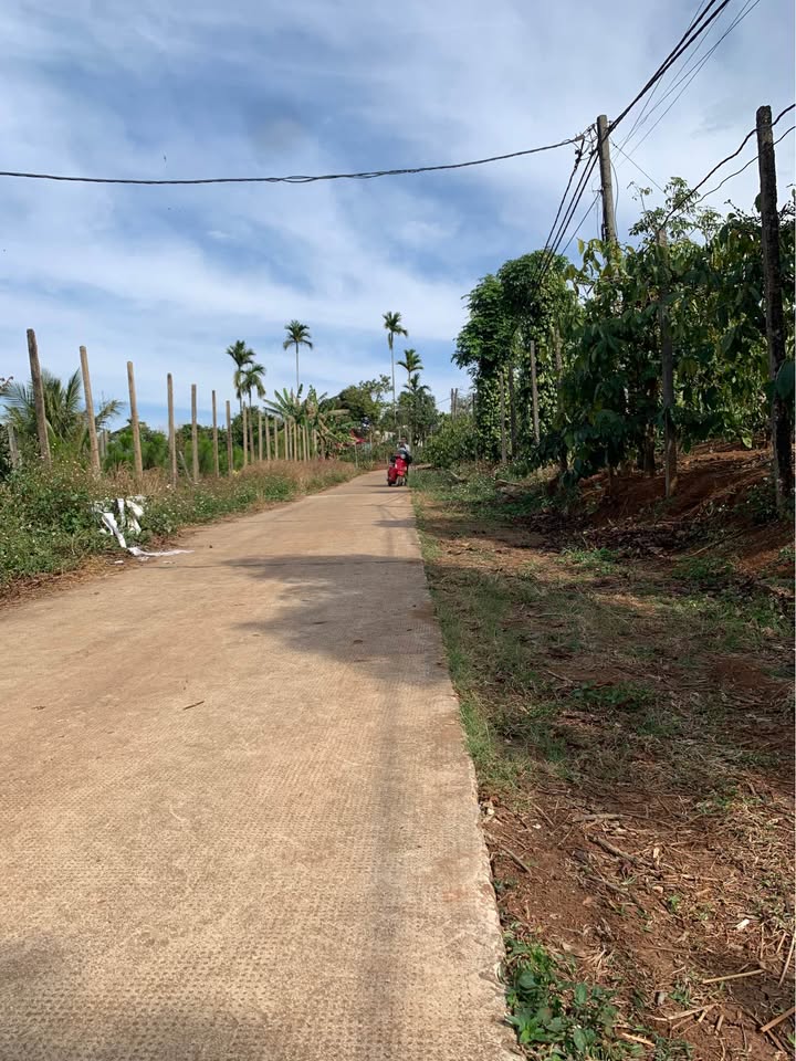 Đất nông nghiệp 1068m² Phường Diên Hồng giá 700 triệu - Cơ hội đầu tư tuyệt vời!