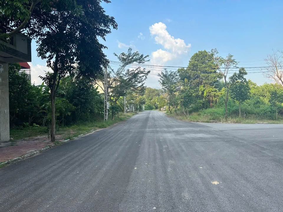 Đất nền Kim Long, Tam Dương 99m² giá 2 tỷ - Vị trí đắc địa, đầu tư sinh lời!