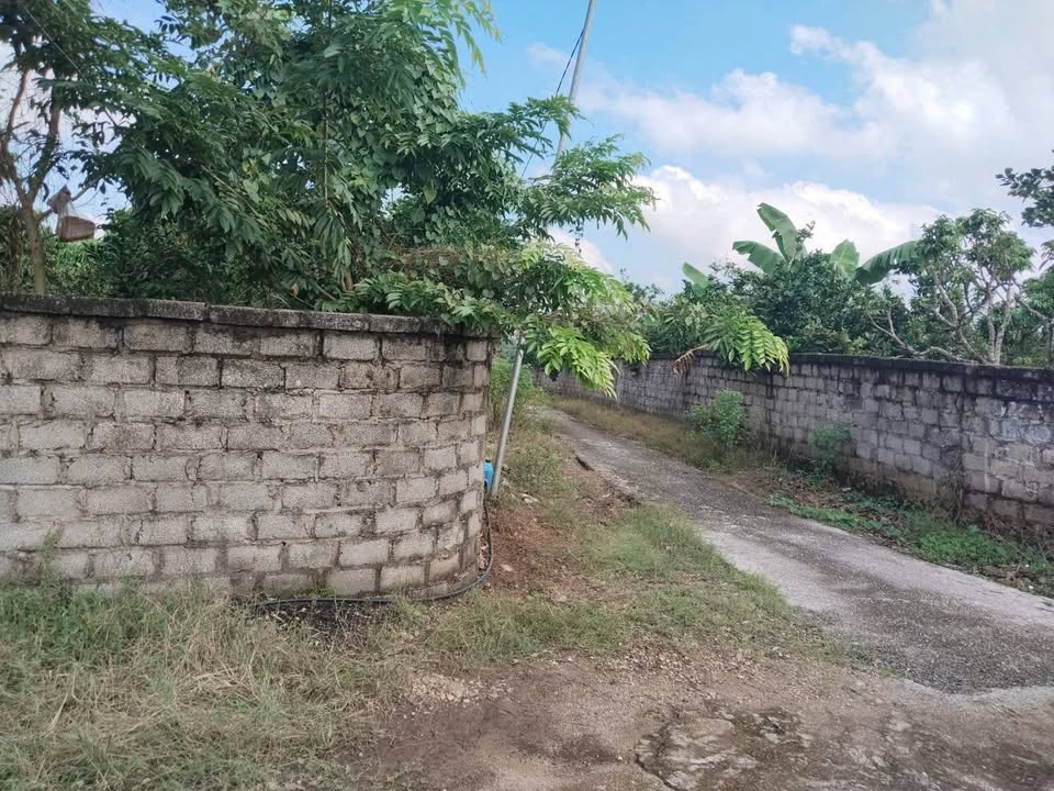 Đất nền đẹp tại Thị trấn Biển Động, Huyện Lục Ngạn, 283m² - Giá chỉ 999 triệu!