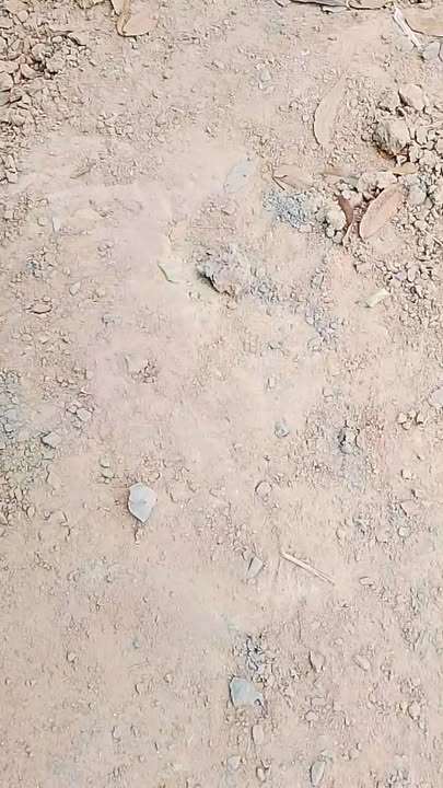 Đất nền Thị Trấn Trảng Bom 137m² giá 2.85 tỷ - Pháp lý rõ ràng, tiện ích đầy đủ!