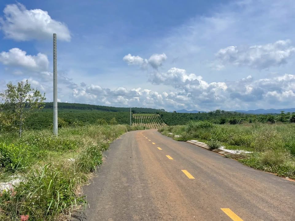 Đất thổ cư Lộc Phú 110m² giá 400 triệu - Đường nhựa 5m, cơ hội đầu tư lý tưởng!