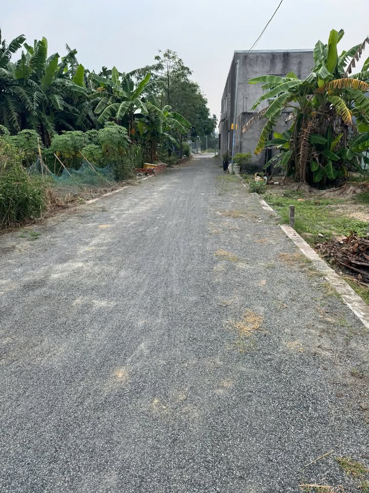 Đất mặt tiền đường nhựa nhánh số 3, xã Tam An, huyện Long Đất, diện tích 165m² - Pháp lý rõ ràng!